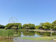 -蠡湖大桥公园