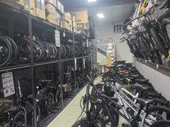 -道路口单车爱瓦士dahon大行