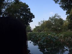 iphone_upload_pic-书香府邸·平江府