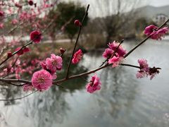 -石塘人家