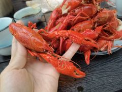 -蚝翅·海鲜粥·烧烤·宁夏滩羊季(玉米楼店)