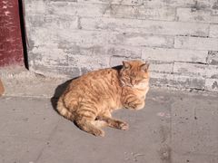 -大钟寺古钟博物馆