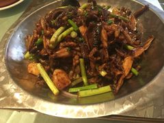 -鑫皇朝酒店(建设一路店)