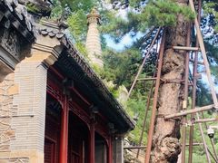 -潭柘寺景区