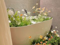 -小仙女采耳·按摩·SPA(深圳旗舰店)