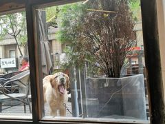 -VESH COFFEE(定西路店)