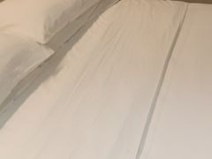 -长沙小天鹅戴斯酒店