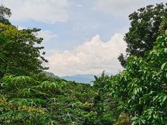 -七叔是岛民(花基新村店)