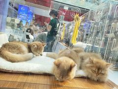 -宝园酒家(美林M·LIVE天地东座店)
