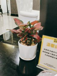 -深圳阳光医疗美容医院·旗舰店