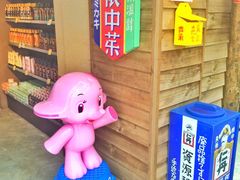 -cosmed(六合门市店)