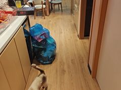 -剧狐剧本杀(徐汇1号店)