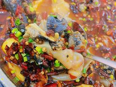 -黑竹香鸡(营和巷店)