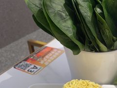 -古乐牛香•鲜牛肉牛杂火锅(系马桩总店)