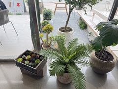 -喜茶(珠海华发商都店)