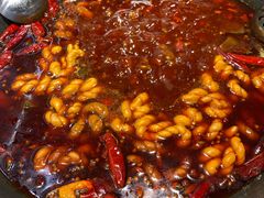 -蛙鱼潭美蛙鱼头火锅(解放碑瑞富广场店)
