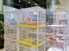 -藏猫猫咖啡主题馆(中央大道店)