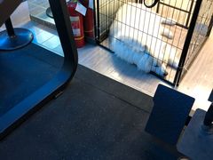 -RoMan罗马健身工作室(莘庄店)