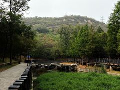 -白水寺森林公园