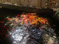 景观位-顺德了能馆(虎门店)