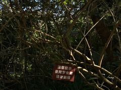 -曼听御花园