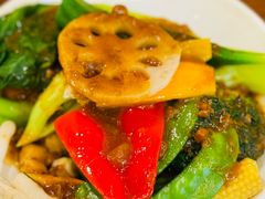 -伽喱博士 Dr.CURRY咖喱饭(太阳宫咖喱店)