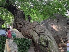 -青岛崂山太清宫