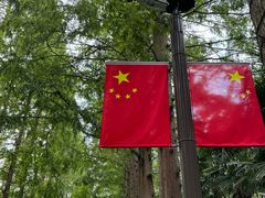 -黄海国家森林公园