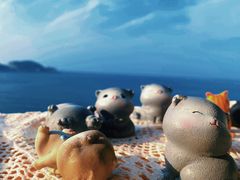 -威海国际海水浴场旅游区
