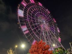 -南昌之星摩天轮