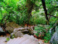 -灵隐飞来峰景区