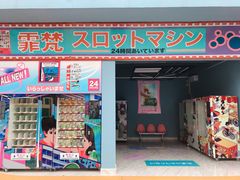 -霏梵印象公园摄影基地