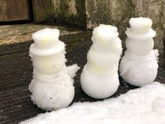 -四明山国家森林公园