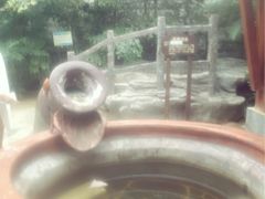 iphone_upload_pic-龙达温泉生态城