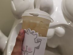 原创小黄皮-茶力的小怪兽(梅林卓悦汇店)