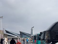 -盐城丹顶鹤湿地生态旅游区
