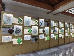 -贵州省植物园