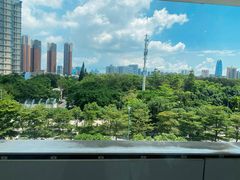 -百年果林椰子鸡(中洲店)