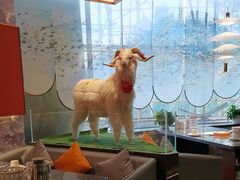 -百草滩羊清水涮羊肉·清真·宁夏盐池滩羊(莲花桥店)