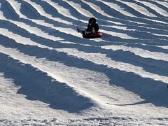 -绿野森林乐园冰雪季