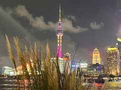 -东方明珠广播电视塔