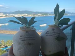 -三亚绿发山海天JW万豪酒店