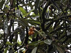 -新安江山水画廊风景区