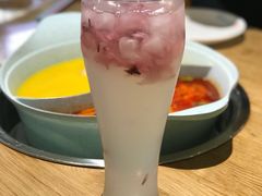 -青瓷火锅料理(西单大悦城店)