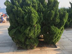 -傅家庄公园