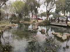 -香雪海