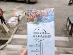 -广州市流溪河国家森林公园