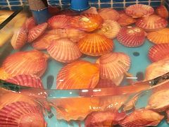 -海汕记·潮汕鲜牛肉火锅·自助