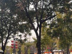 -一记洛阳菜·糖醋小排·水席(十字街店)