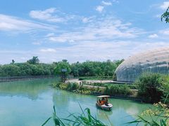 -上海吴淞炮台湾国家湿地公园
